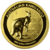 Picture of 2013 1/10th oz Kangaroo Gold Coin