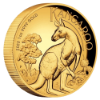 Picture of 2023 1oz Australian Kangaroo High Relief Proof Gold Coin