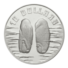 Picture of 1992 $10 Birds of Australia - Emperor Penguin Silver Piedford Proof Coin in Presentation Box
